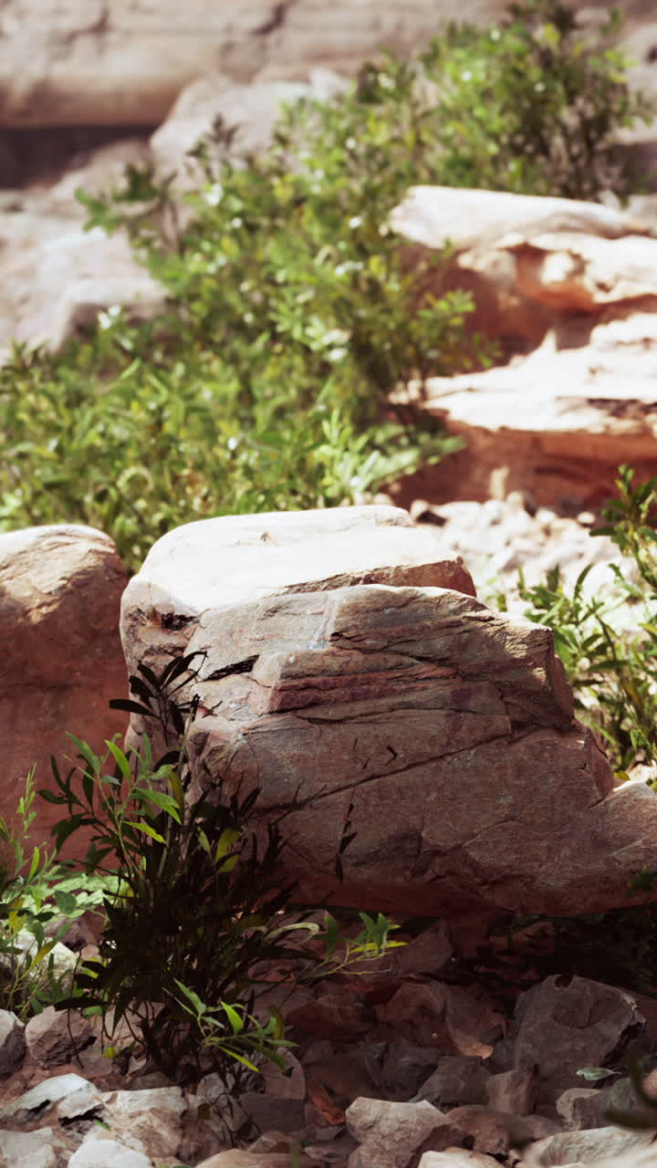 primer plano de una gran roca en un cañón del desierto