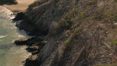 Wildlife-Scene-At-The-Rocky-Island-Of-Faro-de-Bucerías,-Playa-Maroma-In-Michoacan,-Mexico