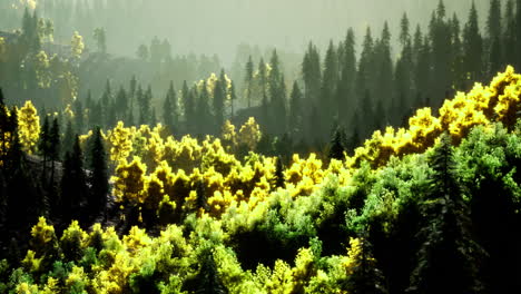 Majestic forest landscape with vibrant colors at dawn in natures serenity