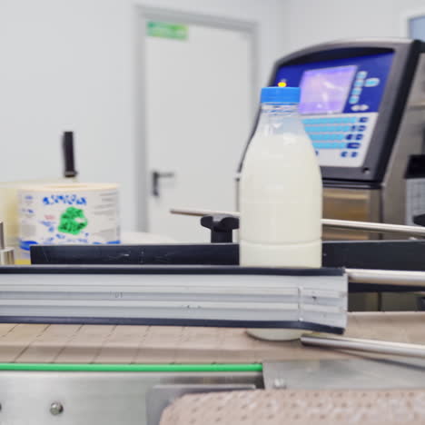 modernized milk plant indoors. worker is putting empty plastic bottles on a conveyor belt. robotic machine for pouring milk in a dairy company.