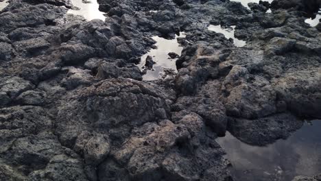 Close-up-shot-of-solidified-lava-with-puddles-of-seawater