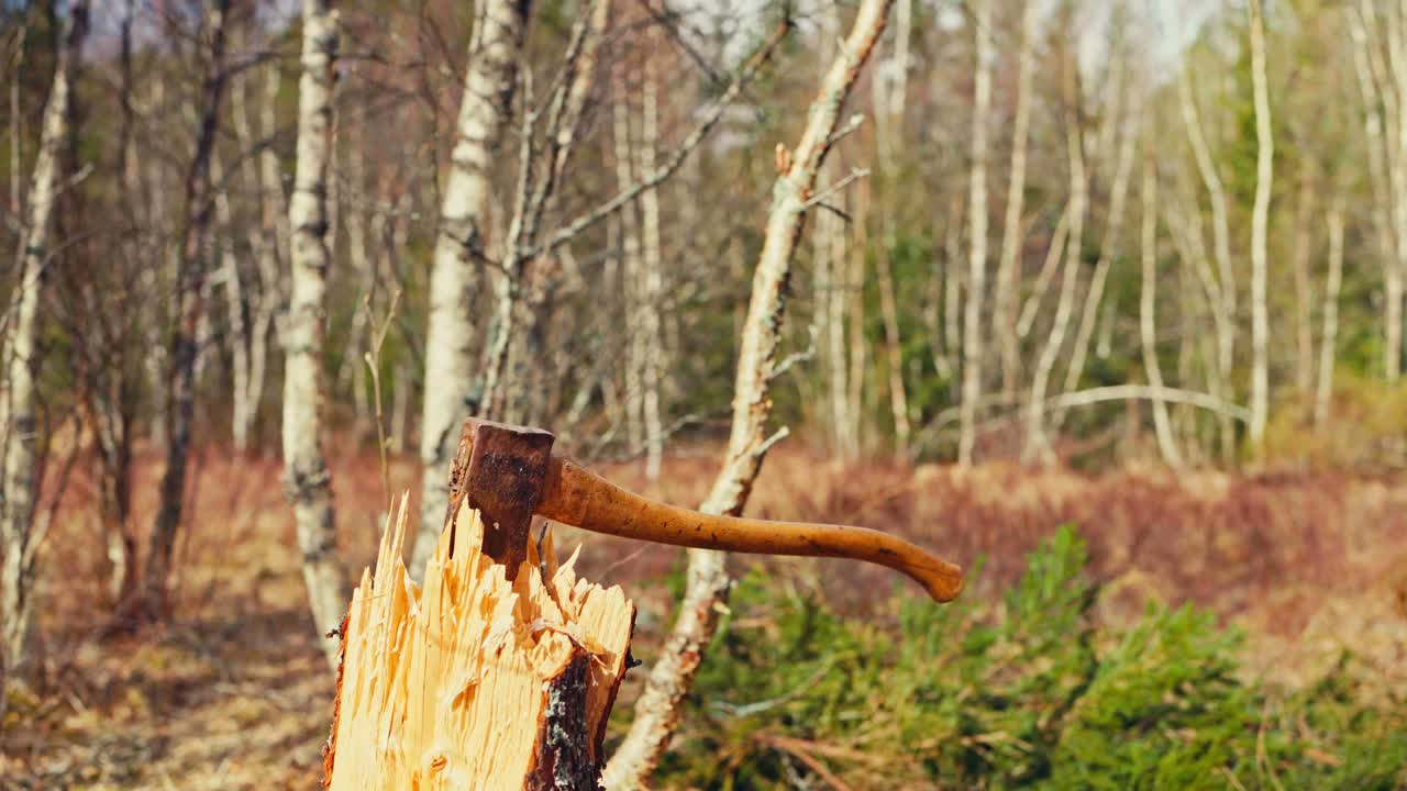 Man With An Ax In The Forest - Medium Shot