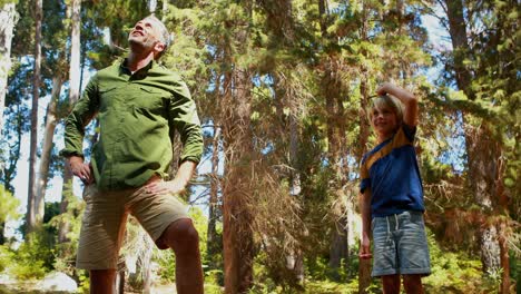 padre e hijo mirando la naturaleza en el parque