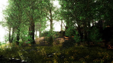 cuento de hadas espeluznante bosque en un día de niebla