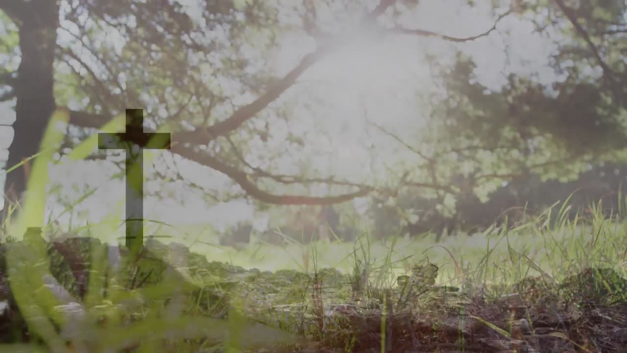 자연 위의 기독교 십자가의 실루 ⁇ 의 애니메이션