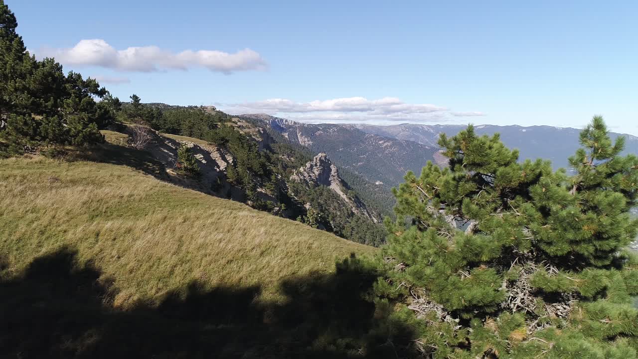 paisaje de montaña con pinos