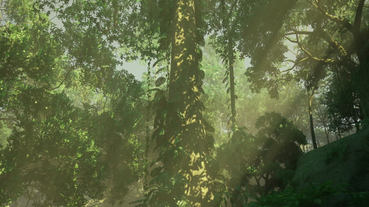 la luz del sol filtrándose a través de árboles verdes exuberantes en un hábitat de bosque denso