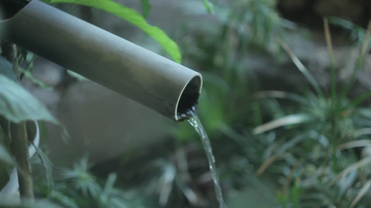 Quiet botanical garden