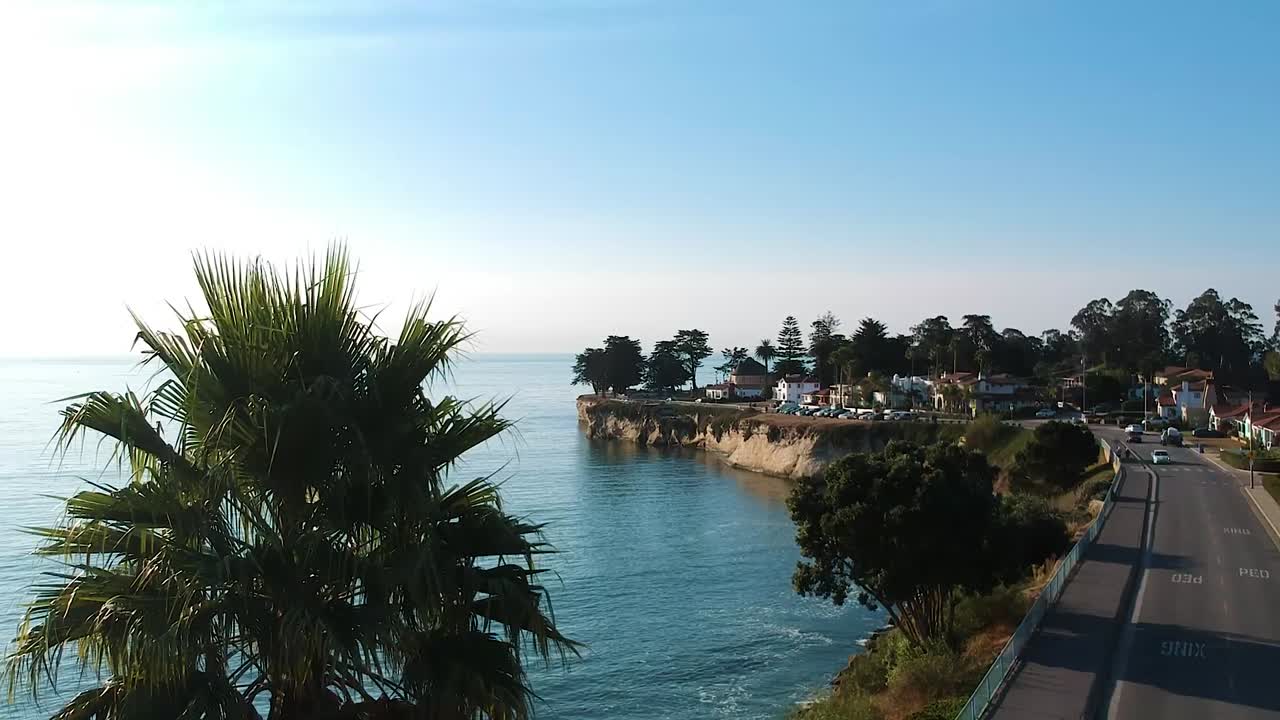 vuelo aéreo sobre la palmera costera en un día claro y soleado