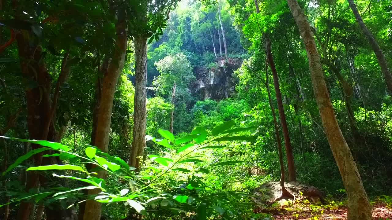 Bellissimo paesaggio della Malesia, Asia.