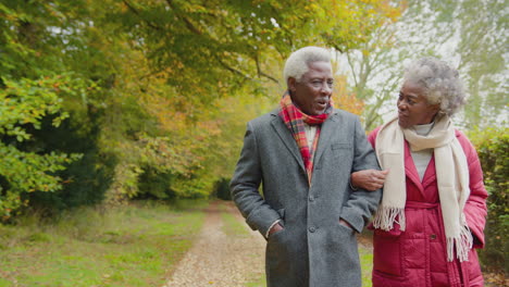 loving senior couple walking arm in arm through autumn countryside together - shot in slow motion