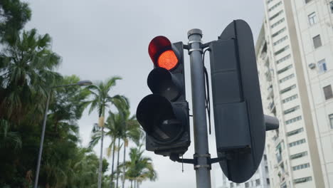 semáforo rojo en una ciudad tropical con edificios de gran altura