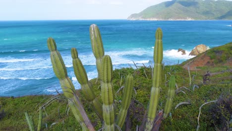 Große-Wellen-Brechen-An-Einem-Felsigen-Tropischen-Strand-Mit-Kakteen-Im-Vordergrund