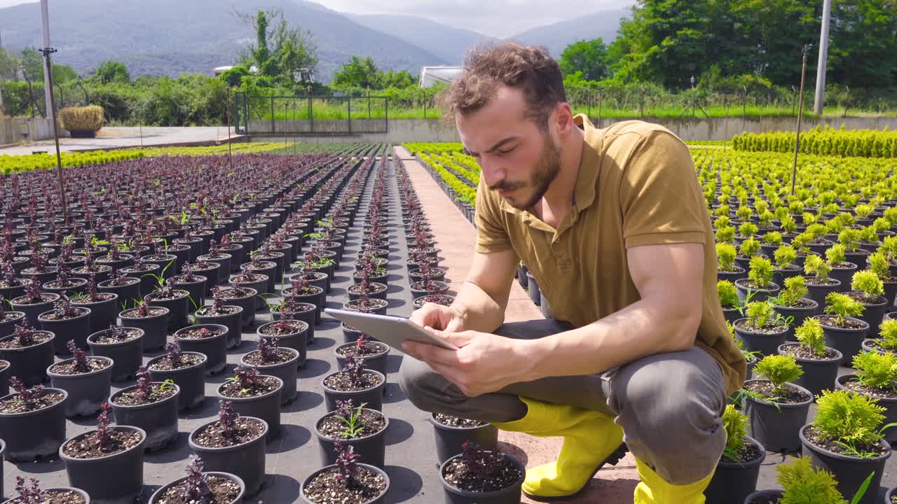 invernadero utilizando tecnología moderna.