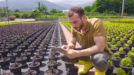 Greenhouse-using-modern-technology.