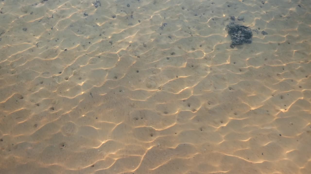 모리셔스 그랜드 베이 해변의 맑은 물