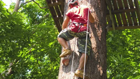 man climbing a tree in a treetop adventure park