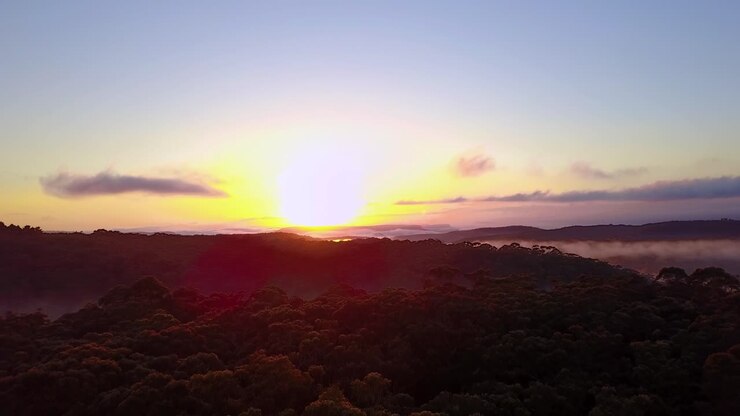 Metraje de dron volando directamente hacia un amanecer espectacular sobre un denso bosque cubierto por niebla dispersa