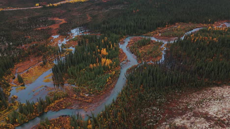 aerial view of autumn landscape with rivers flowing through the valley in yukon, canada - drone shot