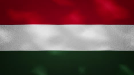 hungarian dense flag fabric wavers, background loop