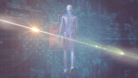 animation of digital human anatomy with spine highlighted over futuristic data
