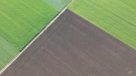 Vista-Aérea-De-Potreros-Agrícolas-Con-Cultivos-Verdes-En-Crecimiento