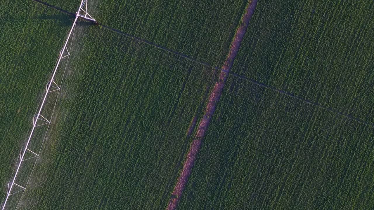 vista aérea de arriba hacia abajo giratoria de un campo verde irrigado simétrico