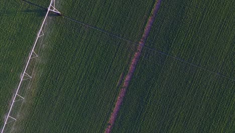 Aerial-top-down-rotating-view-of-symmetrical-irrigated-green-field