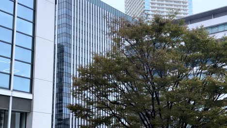 modern cityscape with tree