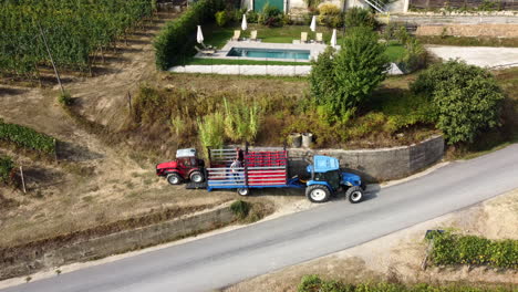 agricultor cosechando viña con maquinaria de tractor