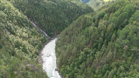 aerial view of a river winding through dense, lush green forest, capturing the serene and untouched beauty of nature's landscape in all its glory