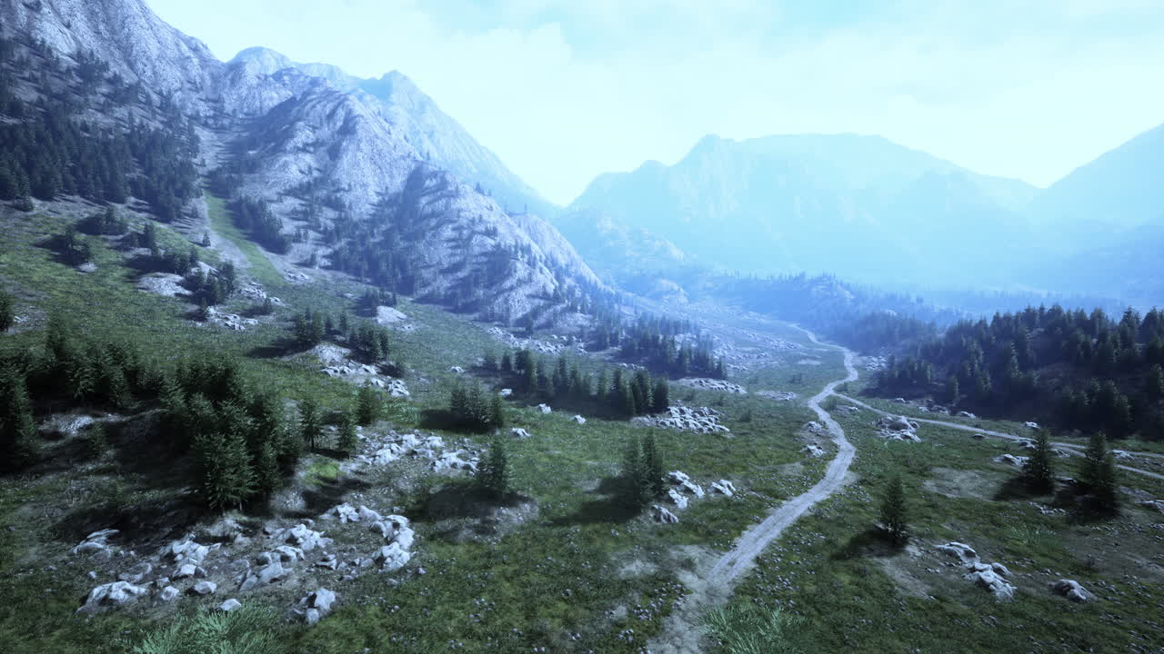 vista aérea de un bosque de coníferas verdes en las montañas