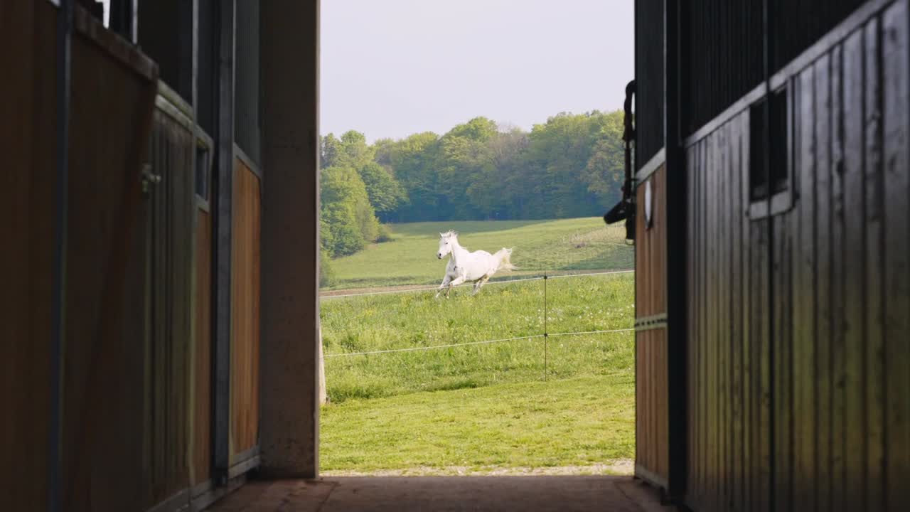 A serene view from a horse stable overlooking a lush green pasture