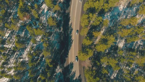 cars drive along brown roadway and cross green forest