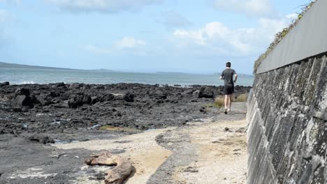 Adult male runner from behind running between the seawall and volcanic rocks at the northern pacific coast of New Zealand