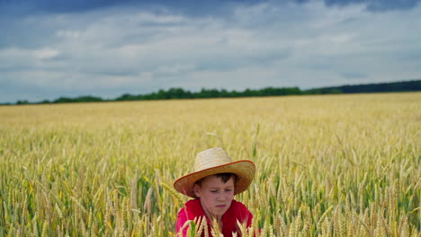 young boy in wheat field. little child relaxing in wheat field