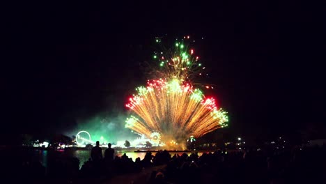 multitud observa un espectáculo de fuegos artificiales