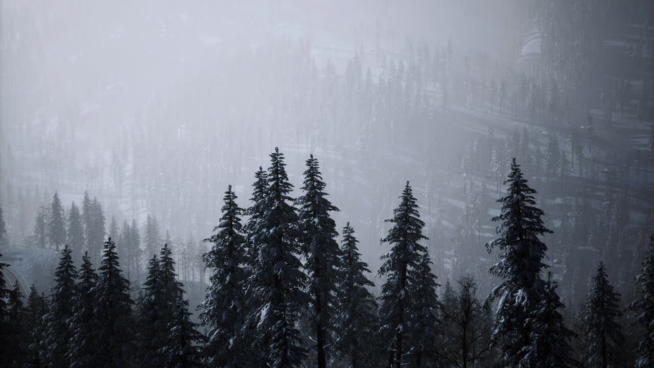 Snow covered forest landscape shrouded in fog during winter morning