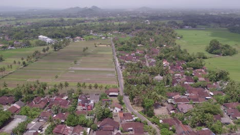 Small-rural-Indonesia-town-surround-by-rice-fields-during-day-time,-aerial