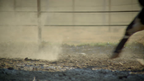 Bull-hooves-running-and-kicking-up-dust-in-the-sunlight-on-rural-Texas-farm-in-the-country