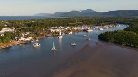drone footage captures boats and lush mangroves in port douglas, australia, under clear skies with serene waters