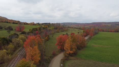 Luftaufnahme-Der-Lebendigen-Herbstfarbenlandschaft-In-Kanada