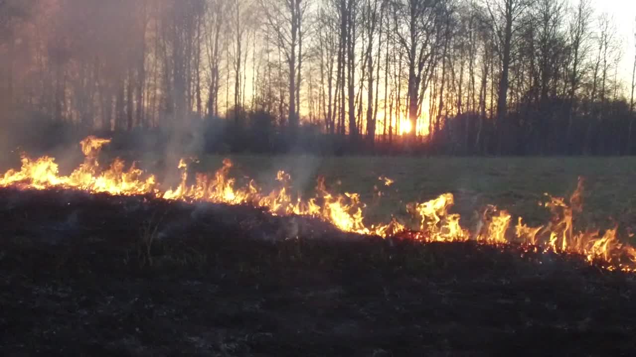 해가 지는 동안 에서 불타는 산불