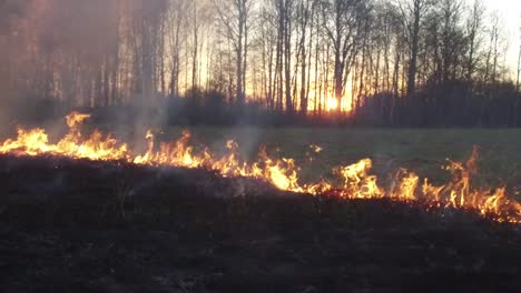 wildfire in a field at sunset