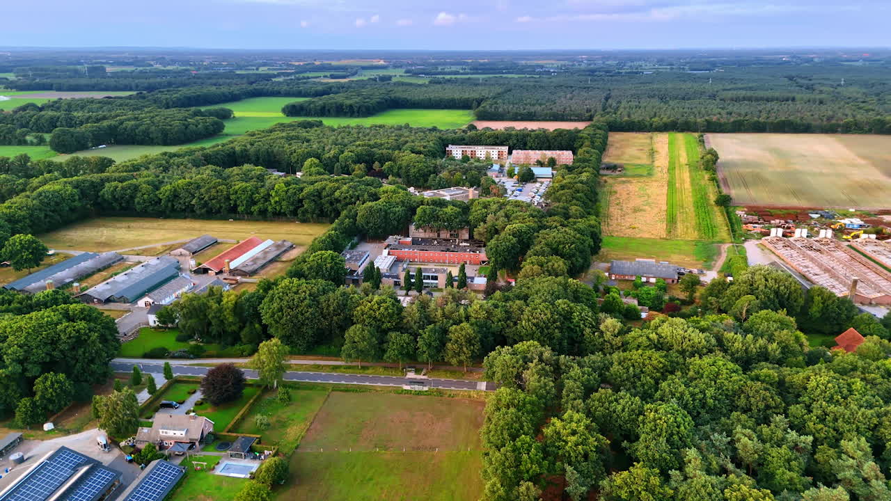 Vasto paesaggio rurale verde. Campagna serena con campi e foreste, che mostra la bellezza della vita rurale durante il giorno.
