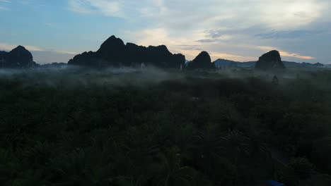 early morning mist sunrise over palm oil plantation in krabi, agricultural business and land development
