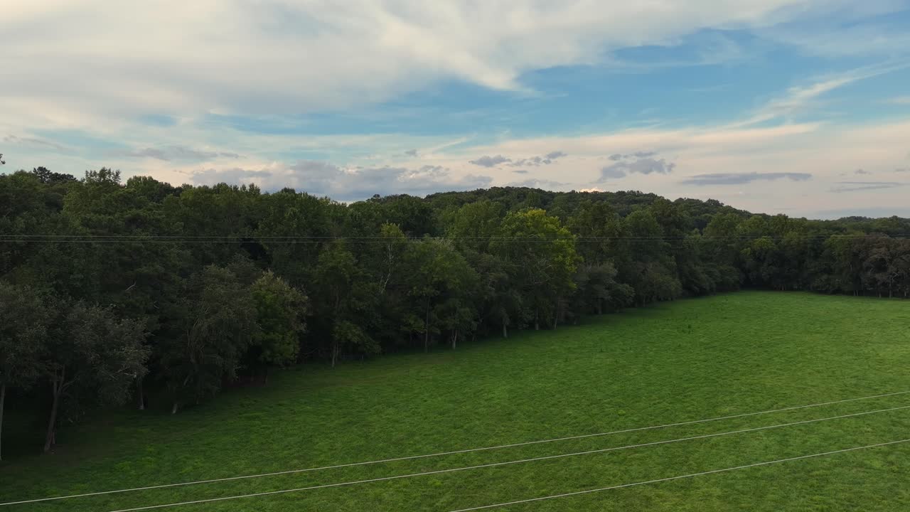 Drone view of trees and sky in Georgia