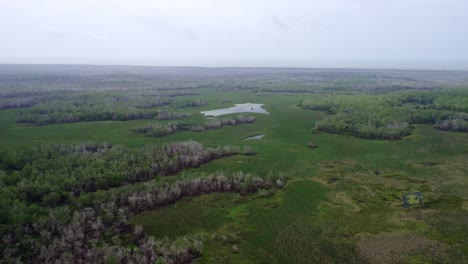 Aerial:-Amazing-Amazon-rainforest-swamp,-large-vast-jungle-canopy,-aerial