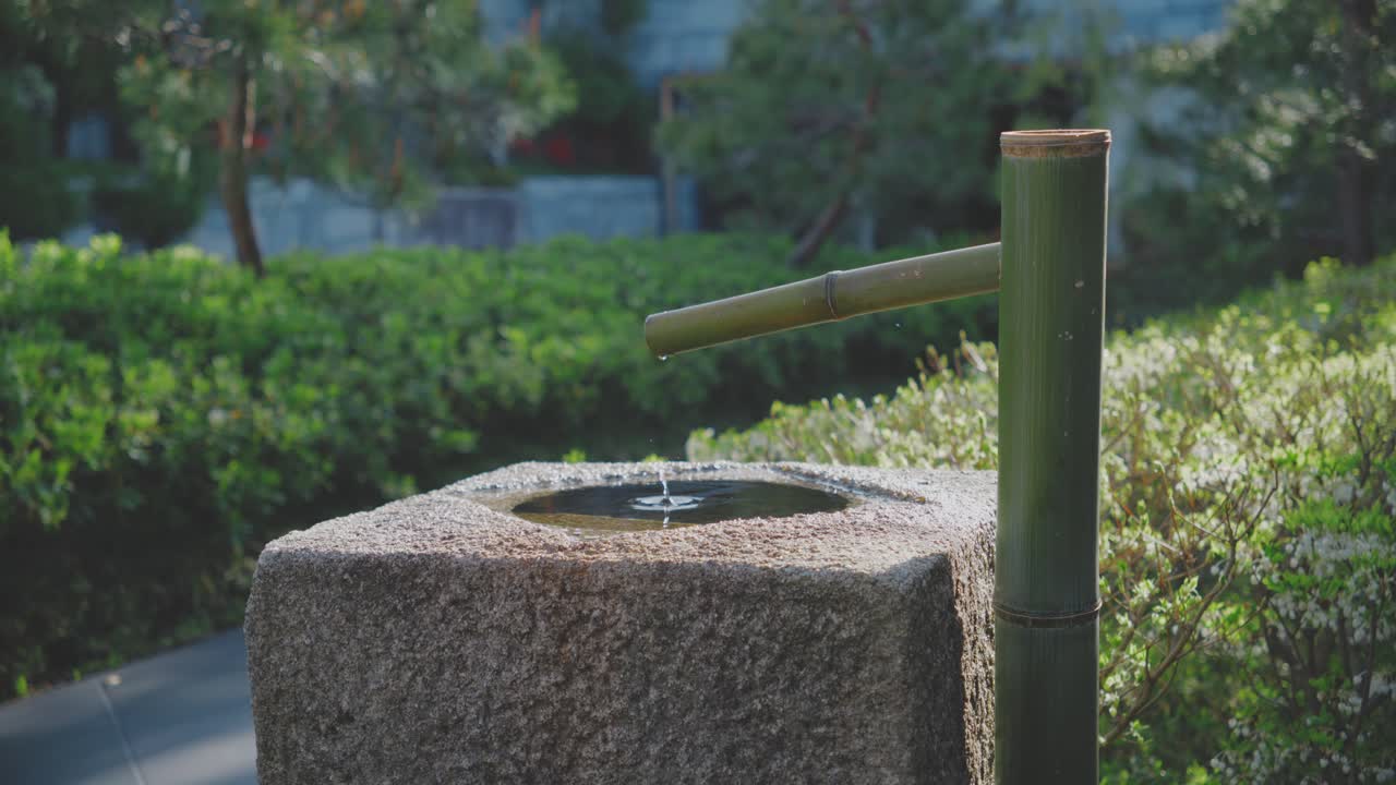 A tranquil bamboo water fountain in a lush Kyoto garden, showcasing a peaceful morning atmosphere with natural elements. Ideal for concepts of calmness and Zen.
