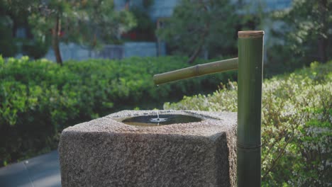 a tranquil bamboo water fountain in a lush kyoto garden, showcasing a peaceful morning atmosphere with natural elements. ideal for concepts of calmness and zen.